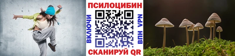 Псилоцибиновые грибы Cubensis  Духовщина 